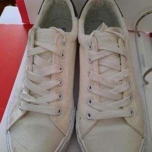 Men's Canvas Sneakers